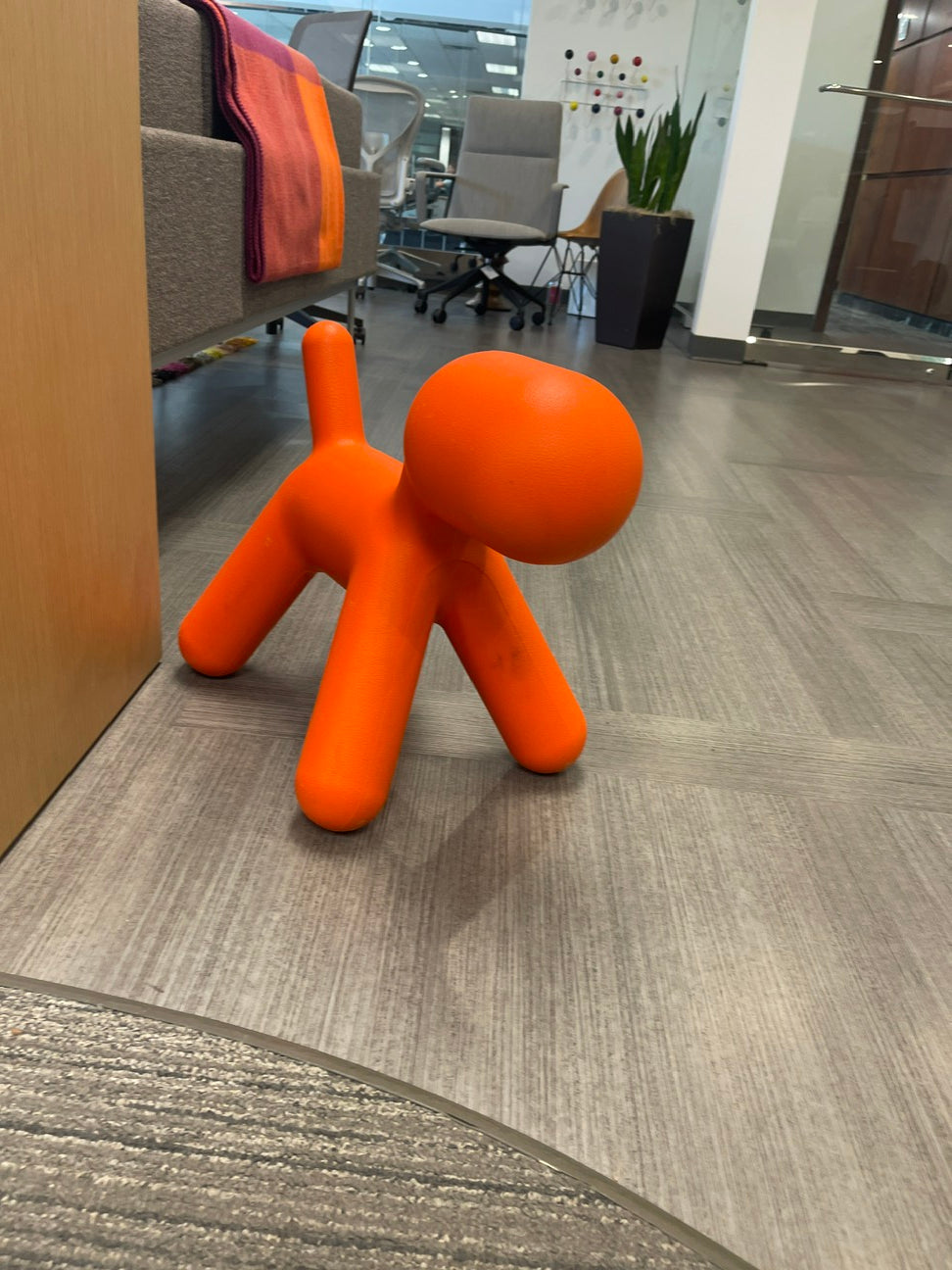 Dog - Orange